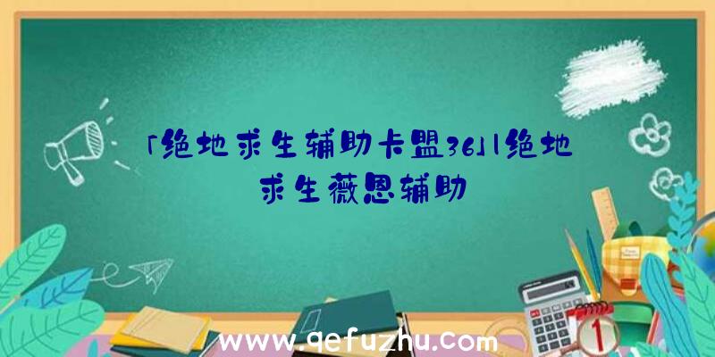 「绝地求生辅助卡盟36」|绝地求生薇恩辅助